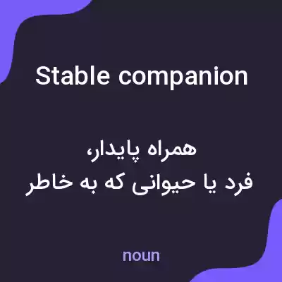 معنی stable companion به فارسی معنی stable companion به فارسی