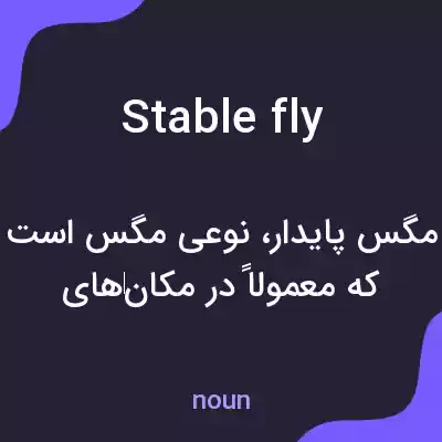 معنی stable fly به فارسی معنی stable fly به فارسی