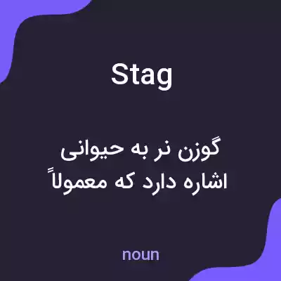معنی stag به فارسی معنی stag به فارسی