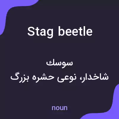 معنی stag beetle به فارسی معنی stag beetle به فارسی