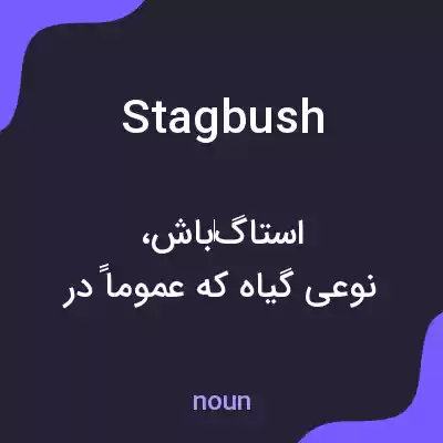 معنی stagbush به فارسی معنی stagbush به فارسی