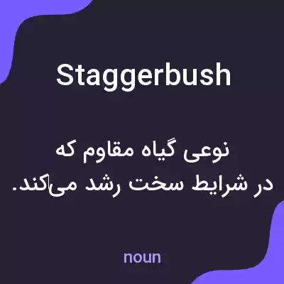 معنی staggerbush به فارسی معنی staggerbush به فارسی