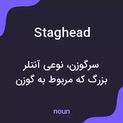 معنی staghead به فارسی معنی staghead به فارسی