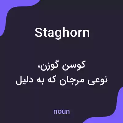 معنی staghorn به فارسی معنی staghorn به فارسی