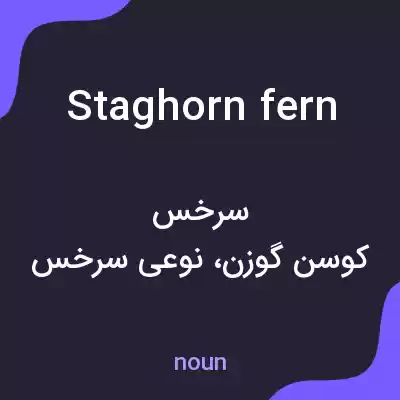 معنی staghorn fern به فارسی معنی staghorn fern به فارسی