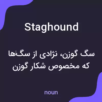 معنی staghound به فارسی معنی staghound به فارسی