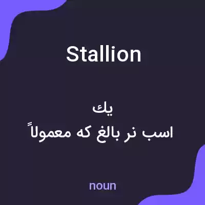 معنی stallion به فارسی معنی stallion به فارسی