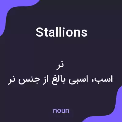 معنی stallions به فارسی معنی stallions به فارسی