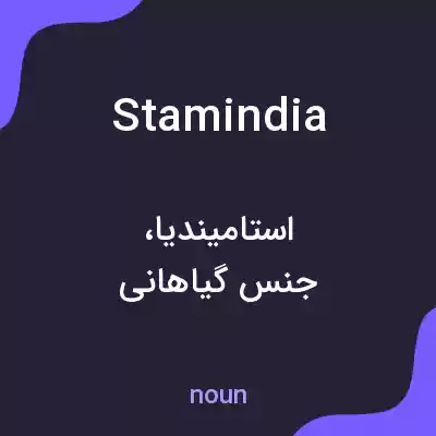 معنی stamindia به فارسی معنی stamindia به فارسی