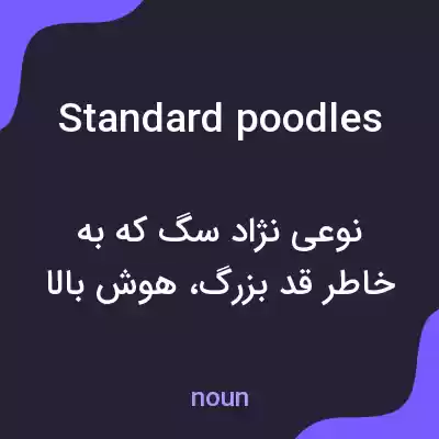 معنی standard poodles به فارسی معنی standard poodles به فارسی