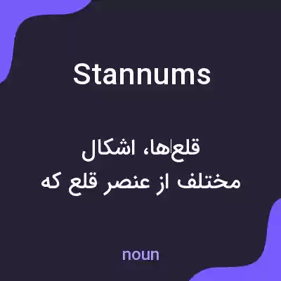معنی stannums به فارسی معنی stannums به فارسی
