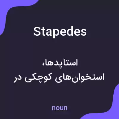 معنی stapedes به فارسی معنی stapedes به فارسی