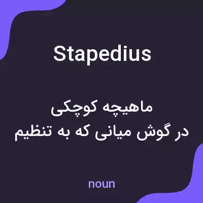 معنی stapedius به فارسی معنی stapedius به فارسی