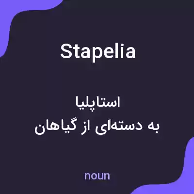 معنی stapelia به فارسی معنی stapelia به فارسی