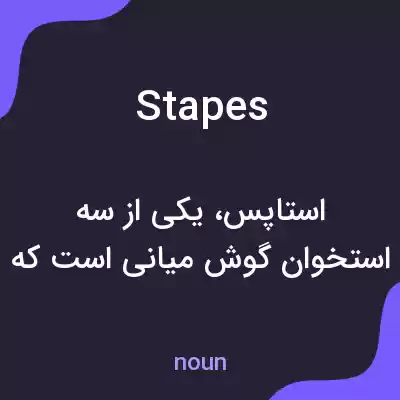 معنی stapes به فارسی معنی stapes به فارسی
