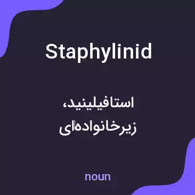 معنی staphylinid به فارسی معنی staphylinid به فارسی