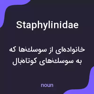 معنی staphylinidae به فارسی معنی staphylinidae به فارسی