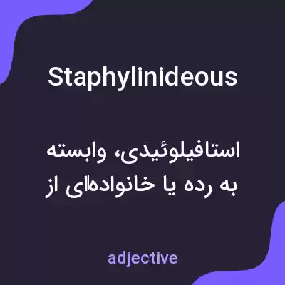 معنی staphylinideous به فارسی معنی staphylinideous به فارسی