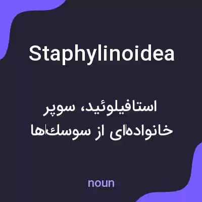 معنی staphylinoidea به فارسی معنی staphylinoidea به فارسی