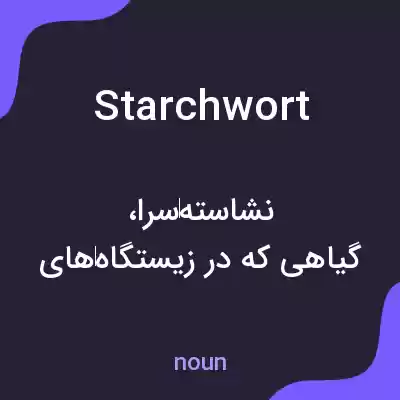 معنی starchwort به فارسی