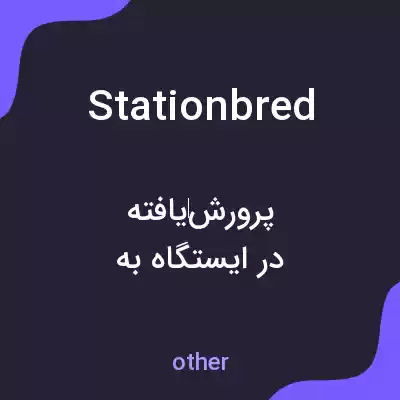 معنی stationbred به فارسی معنی stationbred به فارسی
