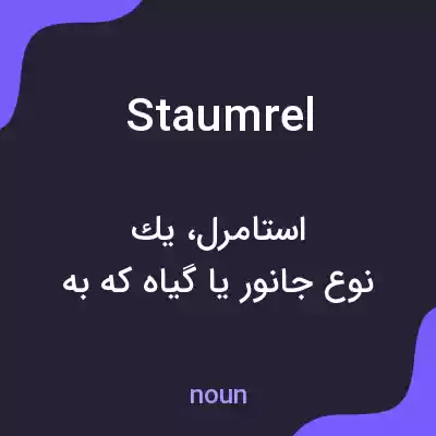 معنی staumrel به فارسی معنی staumrel به فارسی