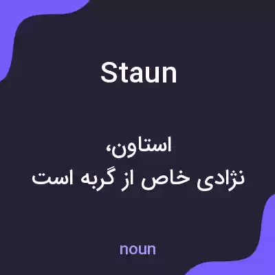 معنی staun به فارسی معنی staun به فارسی