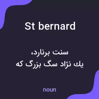 معنی st bernard به فارسی