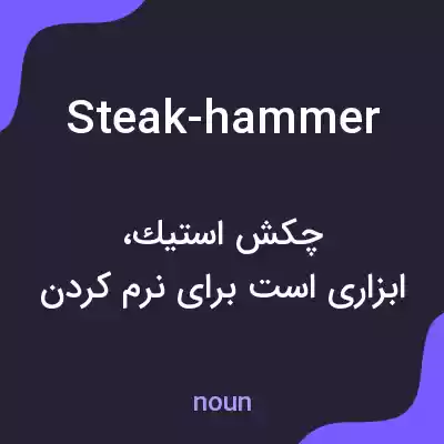 معنی steak-hammer به فارسی