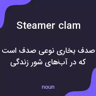 معنی steamer clam به فارسی معنی steamer clam به فارسی