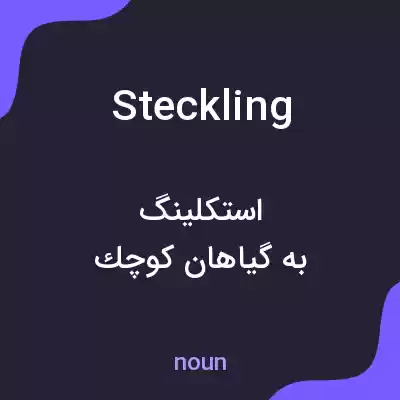 معنی steckling به فارسی معنی steckling به فارسی