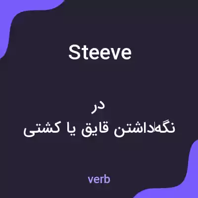معنی steeve به فارسی معنی steeve به فارسی