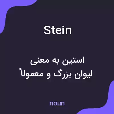 معنی stein به فارسی معنی stein به فارسی