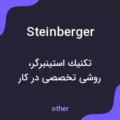 معنی steinberger به فارسی معنی steinberger به فارسی