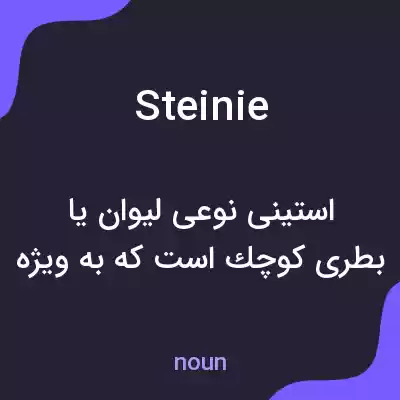 معنی steinie به فارسی معنی steinie به فارسی
