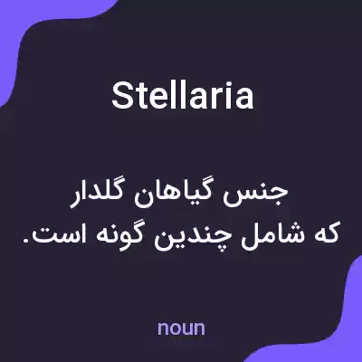 معنی stellaria به فارسی معنی stellaria به فارسی