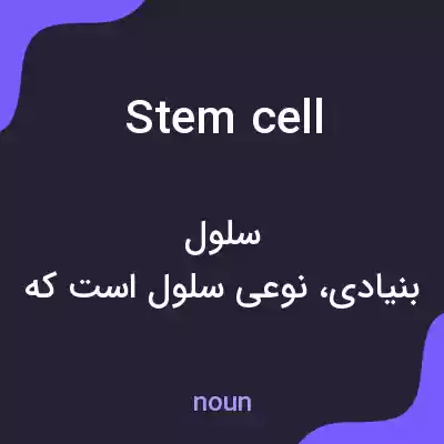 معنی stem cell به فارسی معنی stem cell به فارسی