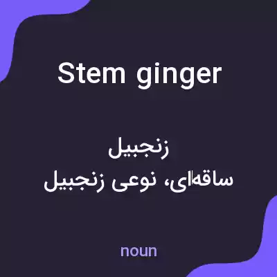 معنی stem ginger به فارسی معنی stem ginger به فارسی