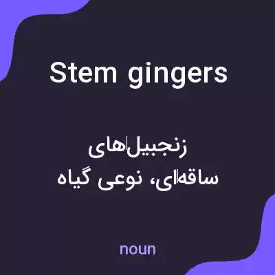 معنی stem gingers به فارسی معنی stem gingers به فارسی