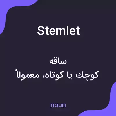 معنی stemlet به فارسی معنی stemlet به فارسی