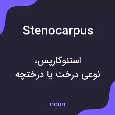 معنی stenocarpus به فارسی معنی stenocarpus به فارسی