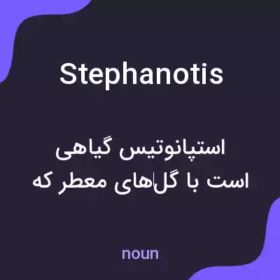 معنی stephanotis به فارسی معنی stephanotis به فارسی