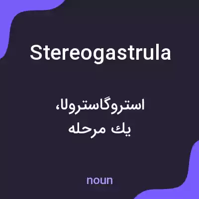 معنی stereogastrula به فارسی معنی stereogastrula به فارسی