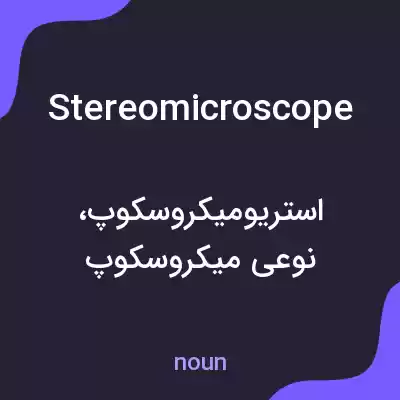 معنی stereomicroscope به فارسی معنی stereomicroscope به فارسی