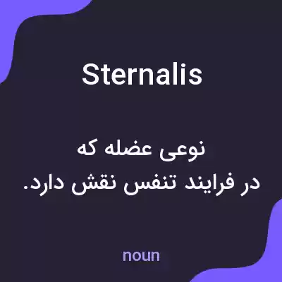 معنی sternalis به فارسی معنی sternalis به فارسی