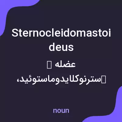 معنی sternocleidomastoideus به فارسی معنی sternocleidomastoideus به فارسی