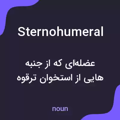 معنی sternohumeral به فارسی معنی sternohumeral به فارسی