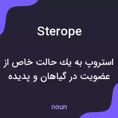 معنی sterope به فارسی معنی sterope به فارسی