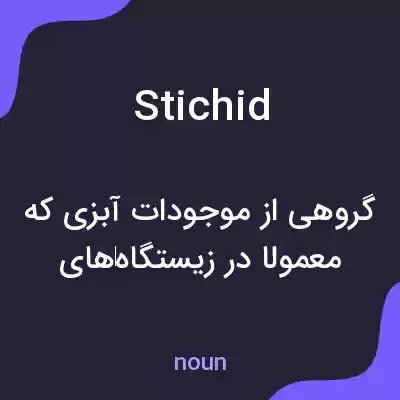 معنی stichid به فارسی معنی stichid به فارسی