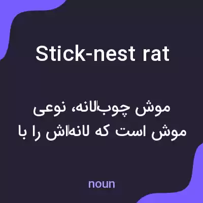معنی stick-nest rat به فارسی معنی stick-nest rat به فارسی
